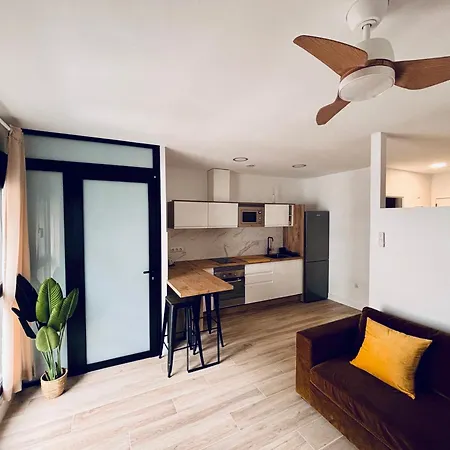 Playa De Canteras- Albareda 1 Apartament